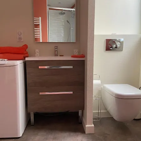 Au Coeur Des Sources - Face Aux Parcs & Thermes - Hypercentre * וישי