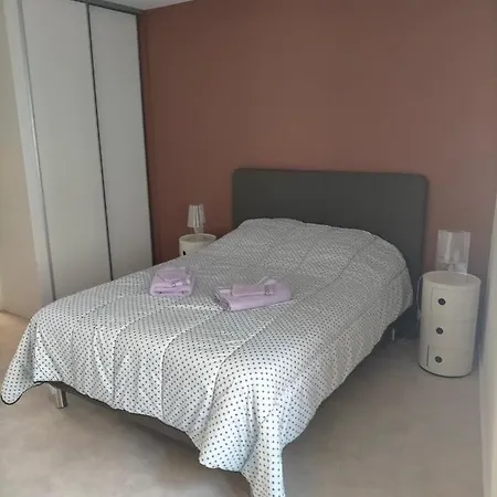 Au Coeur Des Sources - Face Aux Parcs & Thermes - Hypercentre 아파트 비시