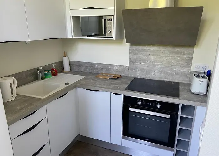 Au Coeur Des Sources - Face Aux Parcs & Thermes - Hypercentre Виши