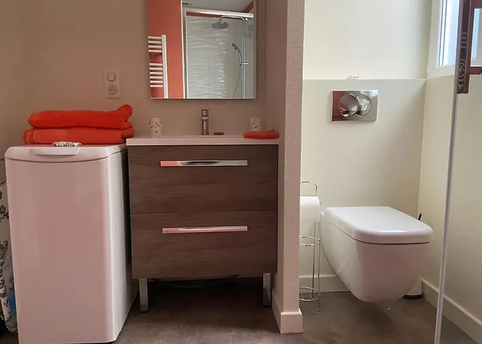 Au Coeur Des Sources - Face Aux Parcs & Thermes - Hypercentre * Виши